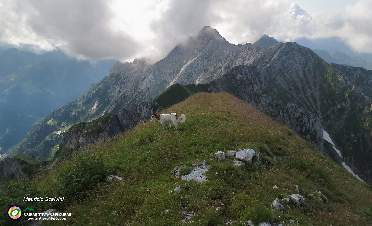 29  Il Pegherolo. Ciao ciao Cavallo....JPG